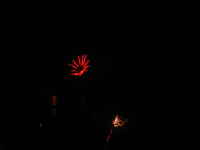 Non-Fiero/Madison/2-5-05 - Fireworks/Original-Fullsize/img_0373.jpg